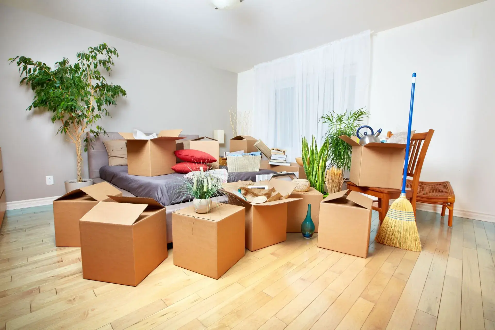 Packed moving boxes and house plants arranged in a bedroom during a residential relocation.