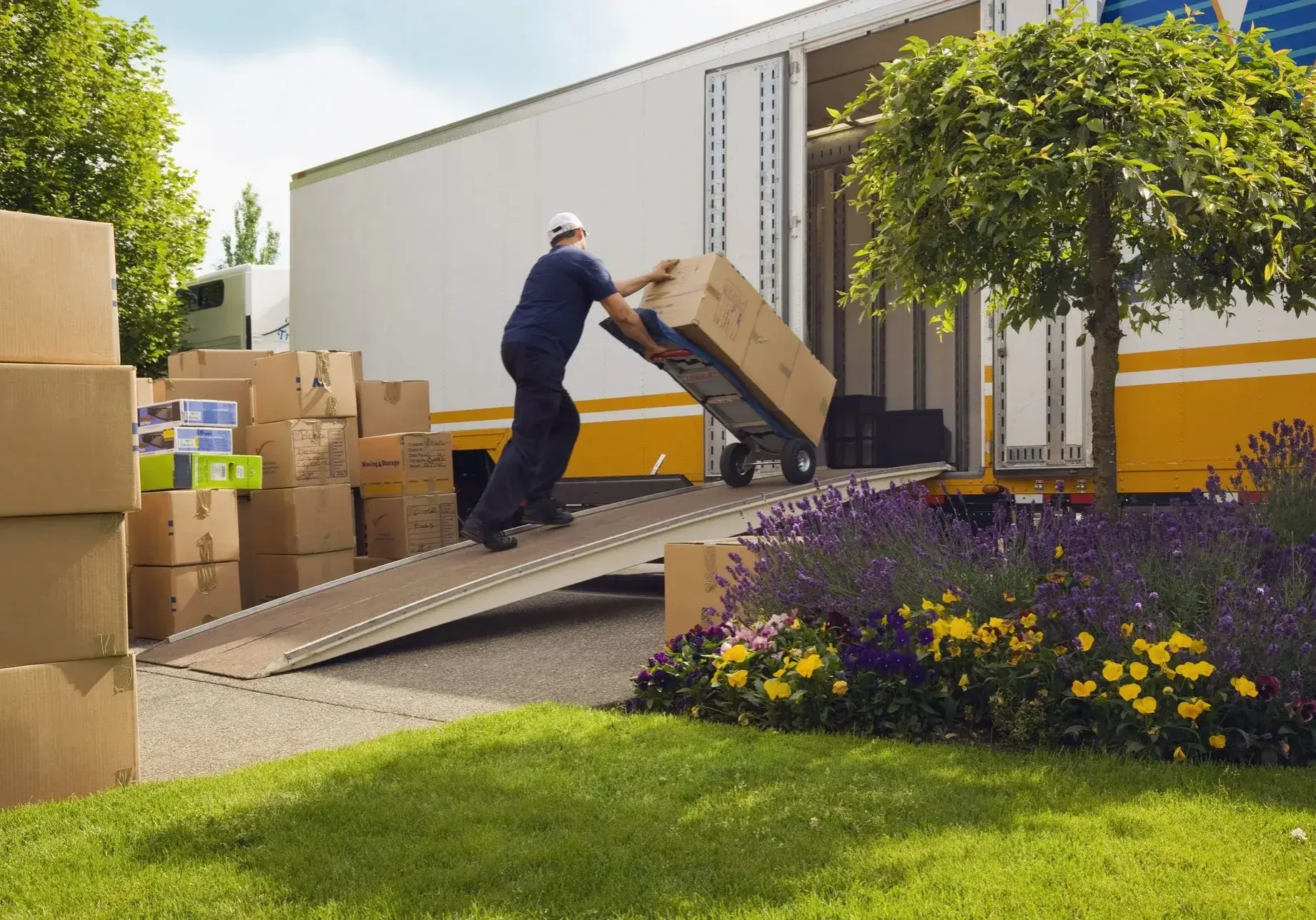 Professional mover pushing a hand dolly loaded with cardboard boxes up a loading ramp into a moving truck.